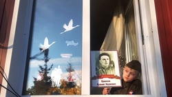 Ивнянский район поддержал патриотические акции ко Дню Победы