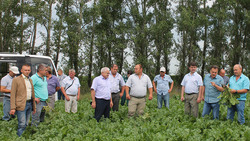 Ивнянские сельхозтоваропроизводители провели объезд полей перед началом уборки