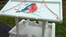 Выставка «Птичьих столовых» прошла в Белгороде