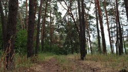 В Белгородской области подвели итоги реализации нацпроекта «Экология»