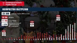 Вячеслав Гладков: в 2024 году восстановили 28 тыс. домов и квартир