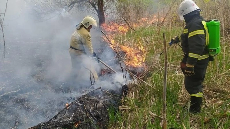 Пожароопасный сезон завершён в Белгородской области