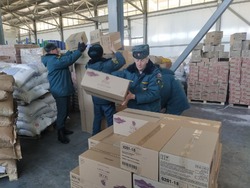 Около 600 тонн гуманитарного груза поступило за сутки в Белгородскую область