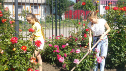 Подростки Ивнянского района приобрели трудовые навыки во время летних каникул