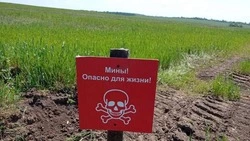 Материал