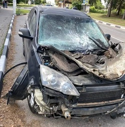 ВСУ атаковали Таврово и Шебекино Белгородской области, пострадали две женщины