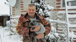 Милые и пушистые. Как родители привили Сергею Болотову из Ивни любовь к выращиванию кроликов