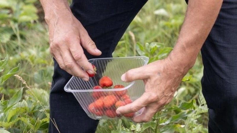 140 соцконтрактов заключили ветераны СВО и их семьи в Белгородской области с начала 2025 года