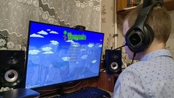 Социологическое агентство «Вебер» поделилось мнением россиян по поводу видеоигр