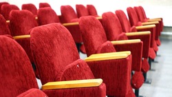 Власти Белгородской области разрешили работу кинотеатрам, концертным залам и театрам