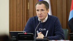 Вячеслав Гладков поручил в срок реализовать губернаторский проект «Наши реки»