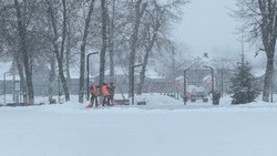 Вячеслав Гладков призвал муниципальных властей увеличить число коммунальной техники в снегопады