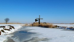 Последний день января в Белгородской области будет тёплым