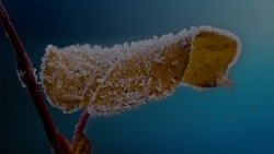 Похолодание до -17 градусов ждёт белгородцев 17 февраля