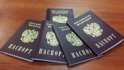 Жители ДНР и ЛНР смогут получить гражданство РФ за 3 месяца