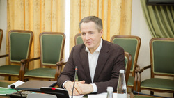 Политологи положительно оценили 100 дней работы Вячеслава Гладкова на посту главы региона