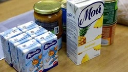 Жители белгородского приграничья просят заменить детские продуктовые наборы денежной выплатой