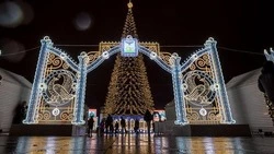 Год единства народов. Чему будет посвящён новый 2026 год