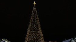 Новогодняя ёлка на Соборной площади в Белгороде загорится 17 декабря