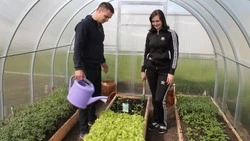 Соцконтракт: не только помощь, но и обязательства