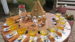 Белгородцы поучаствовали в фестивале-ярмарке «Земский вкус мёда»