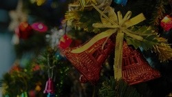Белгородские дети начнут получать сладкие подарки с 19 декабря
