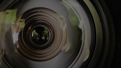 Застолье подруг в Белгородской области завершилось кражей фотоаппарата и видеокамеры 
