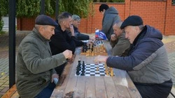 Шахматно-шашечный турнир прошёл в Ивнянском мунокруге