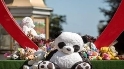Вячеслав Гладков – о перечислении средств белгородским отделением ЛДПР в Фонд помощи раненым детям