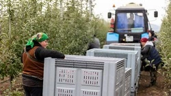 Игорь Щепин напомнил ивнянцам о действующей региональной программе поддержки «Социальный контракт»