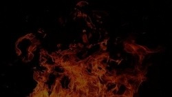   Двое мужчин погибли в пожаре в Ивнянском районе 