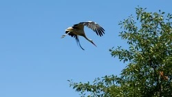 «Скажите мамке…». Опытный педагог делится историям реальных людей, к которыми она причастна 