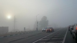 Туман и дожди ждут белгородцев 7 ноября 