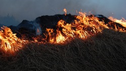 Правительство Белгородской области продлило срок особого противопожарного режима