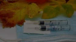 Гладков назвал сроки поступления в Белгородскую область вакцины от кори, краснухи и паротита