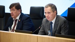Вячеслав Гладков сообщил о сроках работ по строительству туристического кластера в селе Холки