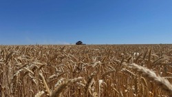 Ивнянские аграрии завершили уборку ранних зерновых