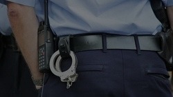  Белгородец получил год условно за попытку дать взятку полицейскому