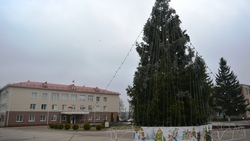 Новогодняя ёлка украсила площадь Ивни