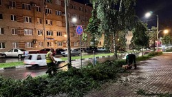 Мэр Белгорода Демидов заявил о необходимости реконструкции системы ливневой канализации 