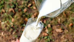 Минсельхоз опроверг информацию о перебоях в доставке молочной продукции