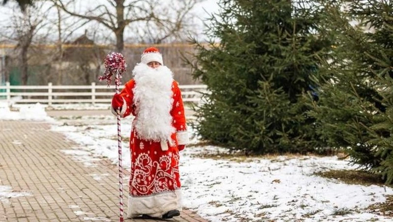 Спрос на новогодних аниматоров в Белгородской области вырос больше чем в три раза 