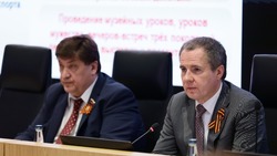 Вячеслав Гладков – о проведении месячника добровольного служения региону с 1 по 30 апреля