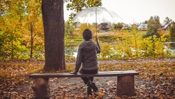 Небольшой дождь и ветер с порывами до 17 м/с ждут белгородцев 24 октября 
