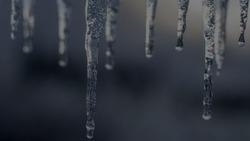 Последний день зимы в Белгородской области будет со снегом и гололедицей