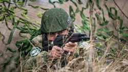 Вячеслав Гладков распорядился усилить безопасность приграничья