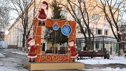 Белгородцы смогут сделать новогодние снимки в двух новых фотозонах