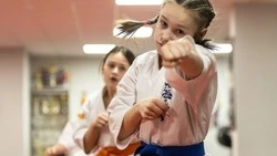 Межрегиональный турнир по дзюдо прошёл в Ивнянском мунокруге