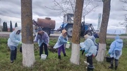Жители Ивнянского округа приняли участие во Всероссийском субботнике