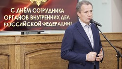 Вячеслав Гладков наградил сотрудников МВД в их профессиональный праздник